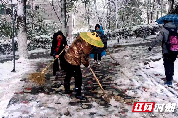 星空体育在线网页版后勤基建处组织人员清扫校园积雪。.jpg